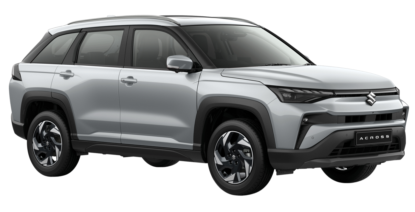 Splendid Silver Pearl